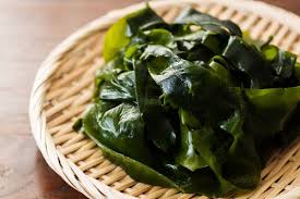 wakame